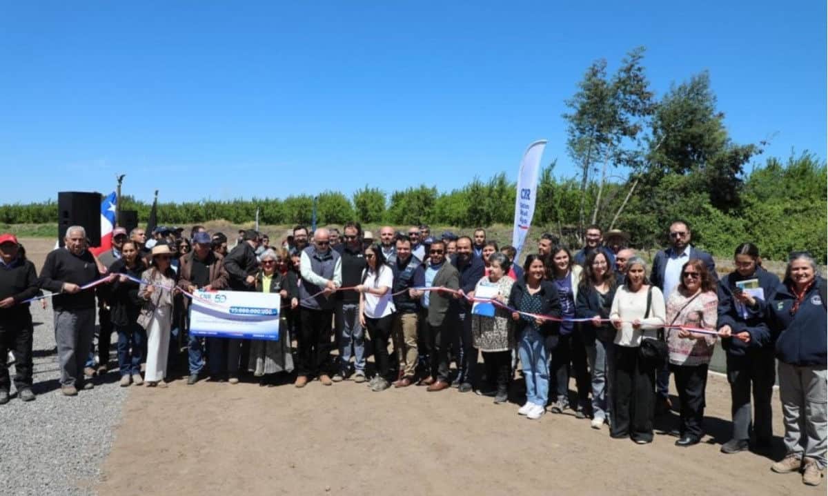 Arranca la temporada de riego en O’Higgins: obras en el Canal Colchagua y fuerte impulso con millonarios recursos para el campo