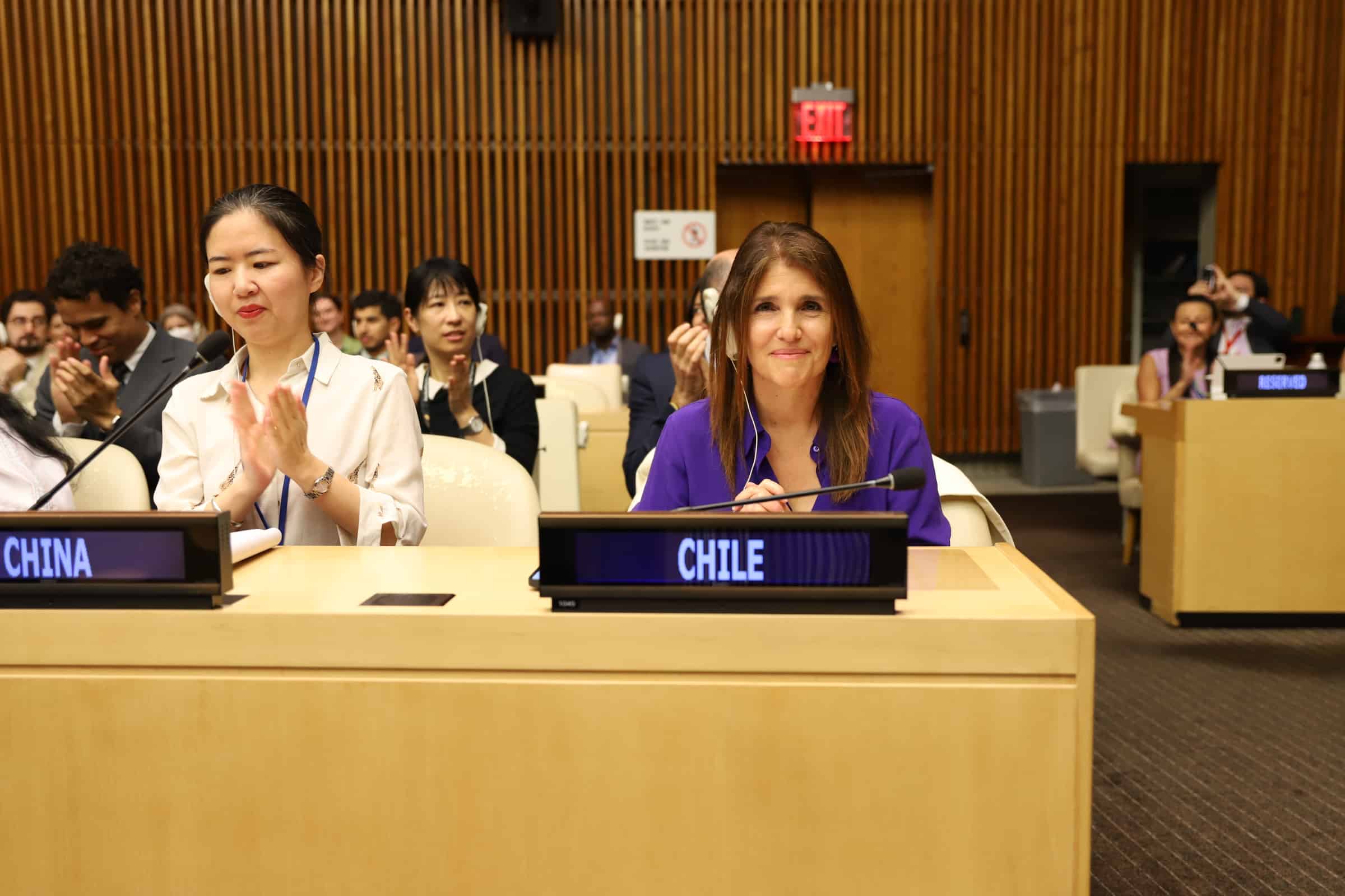 Chile asume la presidencia del Consejo Económico y Social de Naciones Unidas Ecosoc