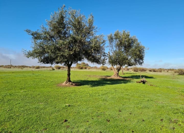 VIVE EN EL CAMPO, CERCA DE TODO